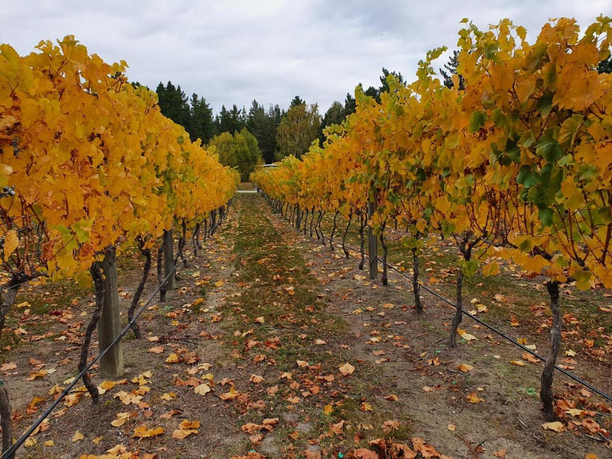 לינה וארוחת בוקר קרומוול Vines On Bannockburn מראה חיצוני תמונה